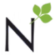N-Logo